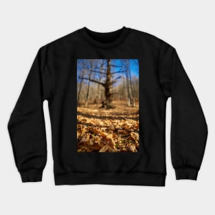 Macro on leaves with selective focus Crewneck Sweatshirt